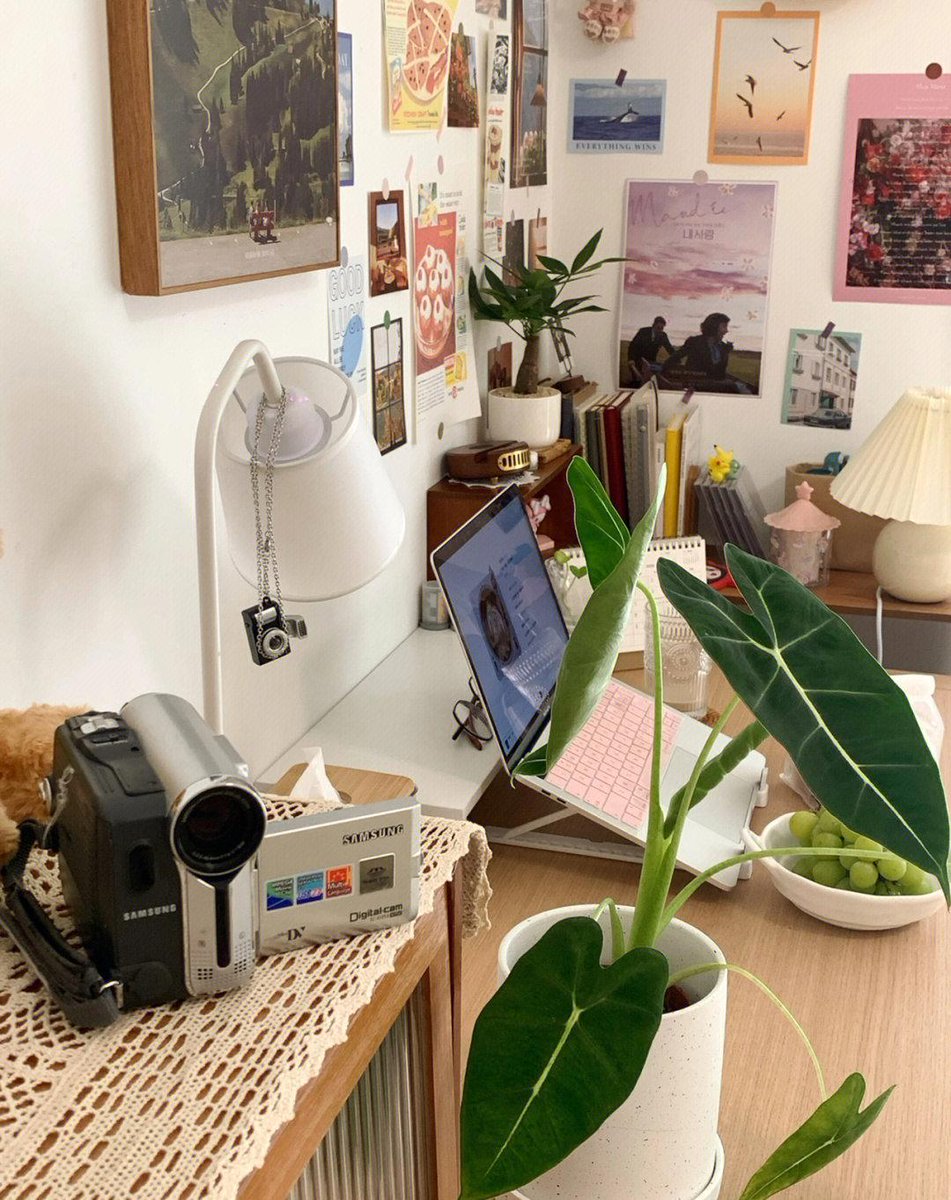 MariahFogerty's tweet photo. Clean desk = clear mind  My go-to setup: a minimalist monitor stand, wireless keyboard, and a potted succulent that survived my black thumb (win!). Stay focused, stay neat. https://t.co/NPy5WpXQWD
