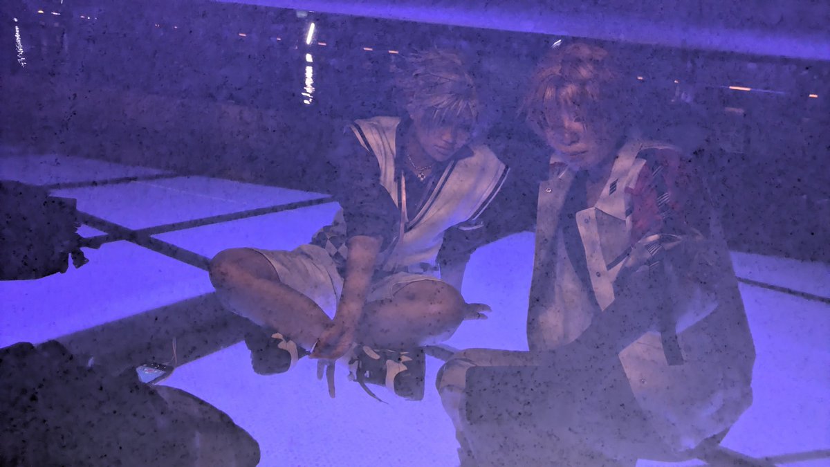 6rooooou_gh's tweet photo. めためたかわでしょ https://t.co/GXicKcGwxd