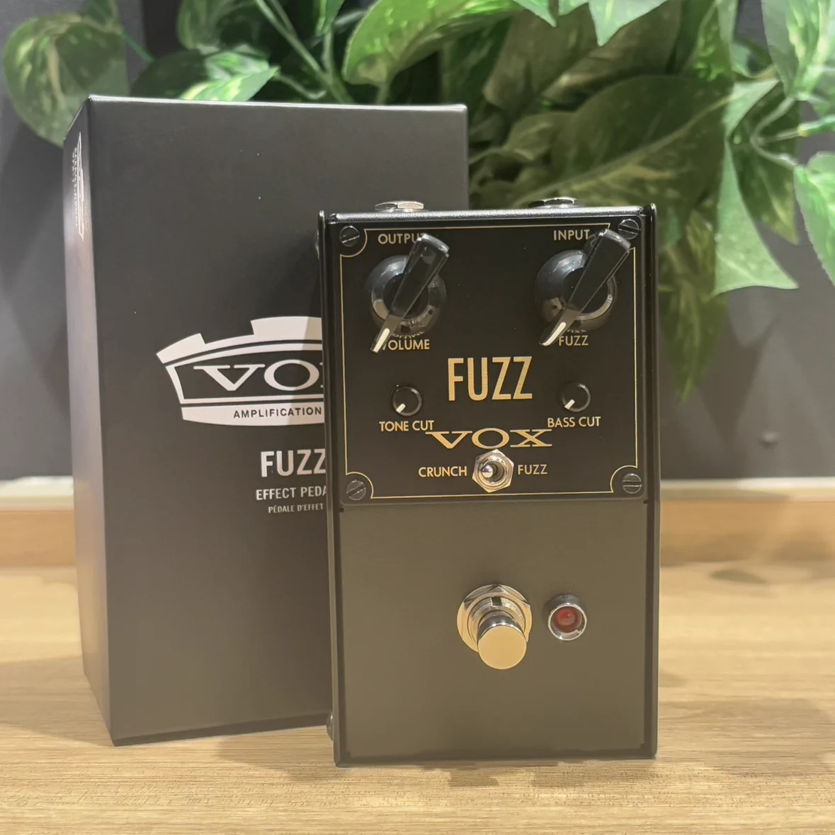 島村楽器 mozoワンダーシティ店 on X: 