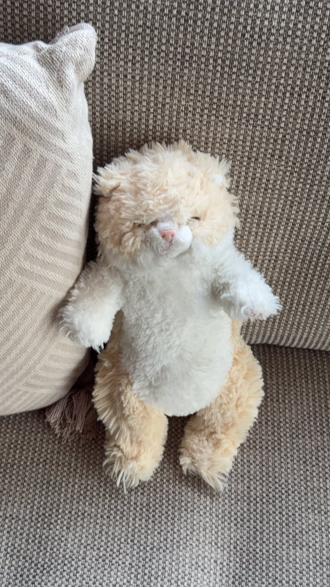 mzkmsb's tweet photo. #ひざねこすやすや https://t.co/eI9vxir0mc