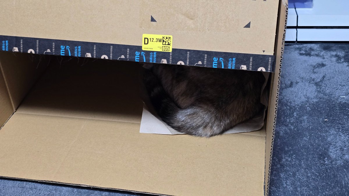 eruzakku's tweet photo. ダンボールが気に入ったウチの猫 https://t.co/qItkfoFBGu