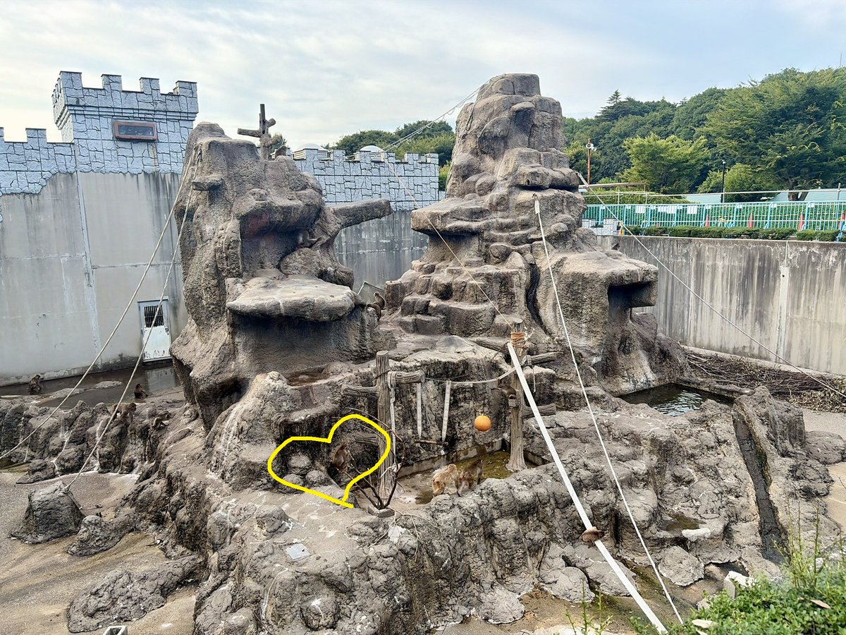 li2balad's tweet photo. @ichikawa_zoo https://t.co/MSiILYVd7q