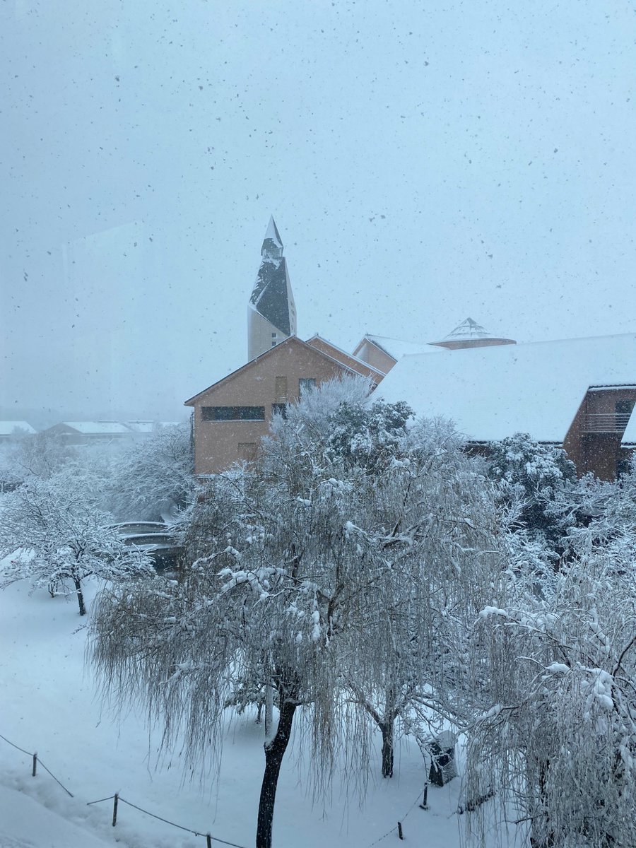 27_dxk's tweet photo. 参加校12校目は、滋賀県立大学です✨️

滋賀県は北の方、彦根市にある琵琶湖と田んぼに囲まれた滋賀県立大学は、内井昭蔵をマスターアーキテクトとし、それぞれの学部棟ごとに建築家が担当した全国的にも珍しい大学です🏫🎓

#建築 #建築学生とつながりたい
#建築設計 #卒業設計
#diplomaxkyoto27 https://t.co/JOKHKxLmng