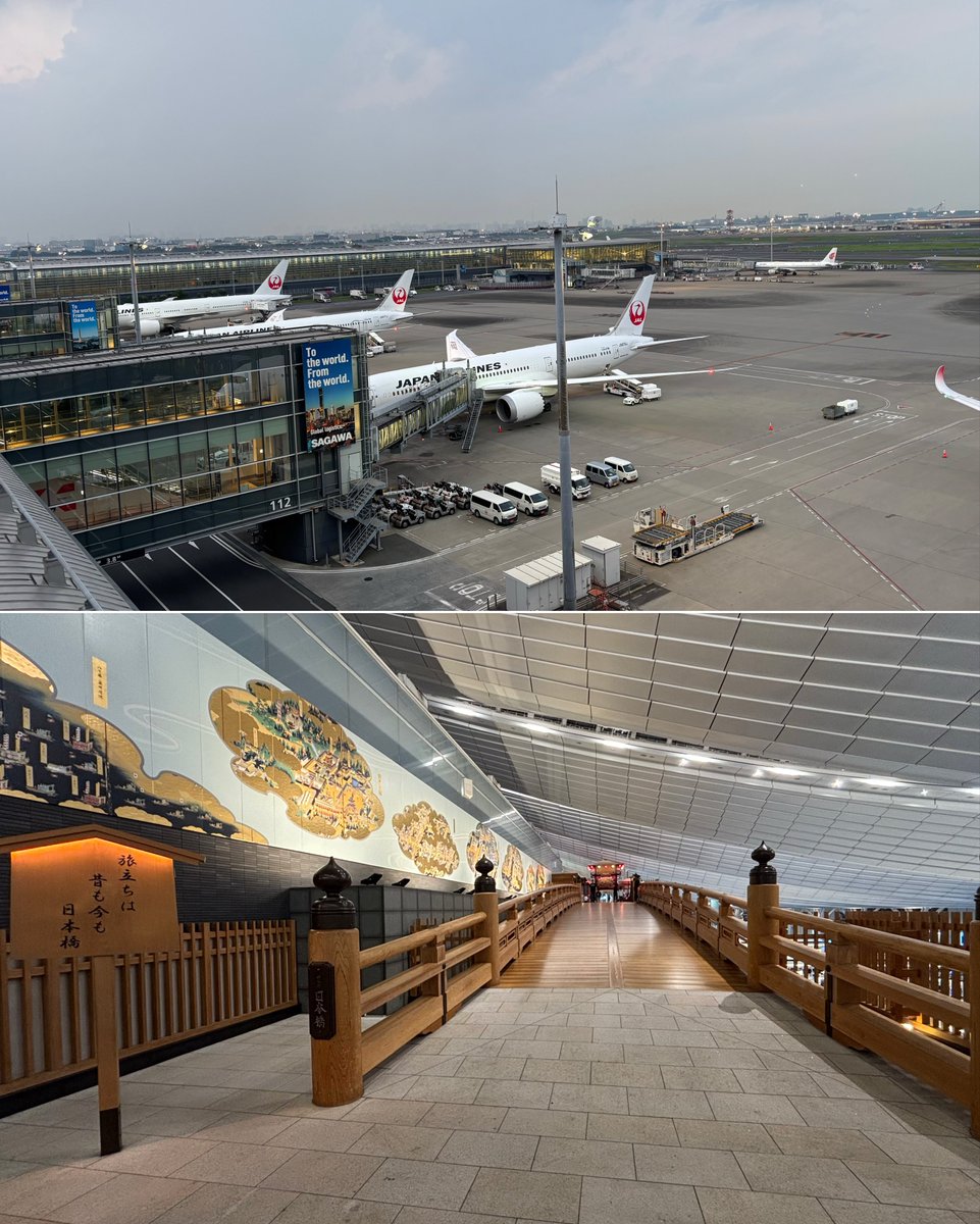 Kokeeeko28's tweet photo. 今日の💯
ゴリランダーは安定の色違いなし🫩
ヒトカゲやりに久々羽田空港！
ノノクラゲいた
今日でHP欠けをもらって、野球ピカキラ1欠け軍団ができました😂
交換ありがとう〜
#ポケモンGO #PokemonGO https://t.co/Dz4Js14UCG
