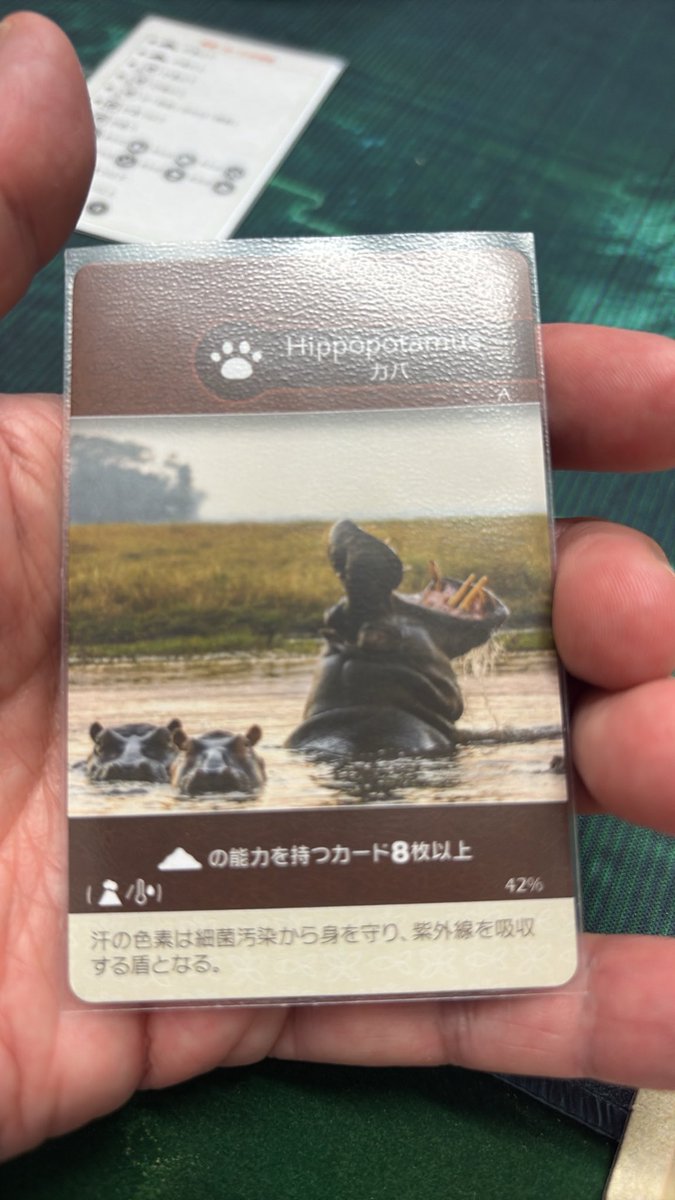 ojisangamer's tweet photo. この土壌の能力を持つカードって、どういうカードなんだろうか？

#earth #insideup https://t.co/RPBtfkINqy