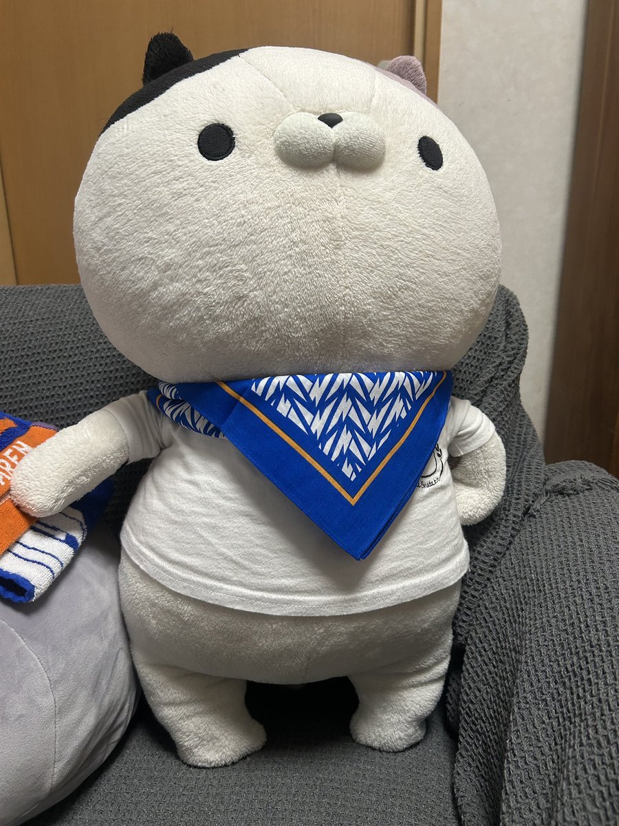 fukazo_009's tweet photo. ご主人から特典のバンダナぶんどって開幕待ったなし
立ち上がって今にもスタジアムに行っちゃいそうな三村くん
#おかえり園田くん
#Jリーグ
#vvaren https://t.co/DhsIfNlvlD