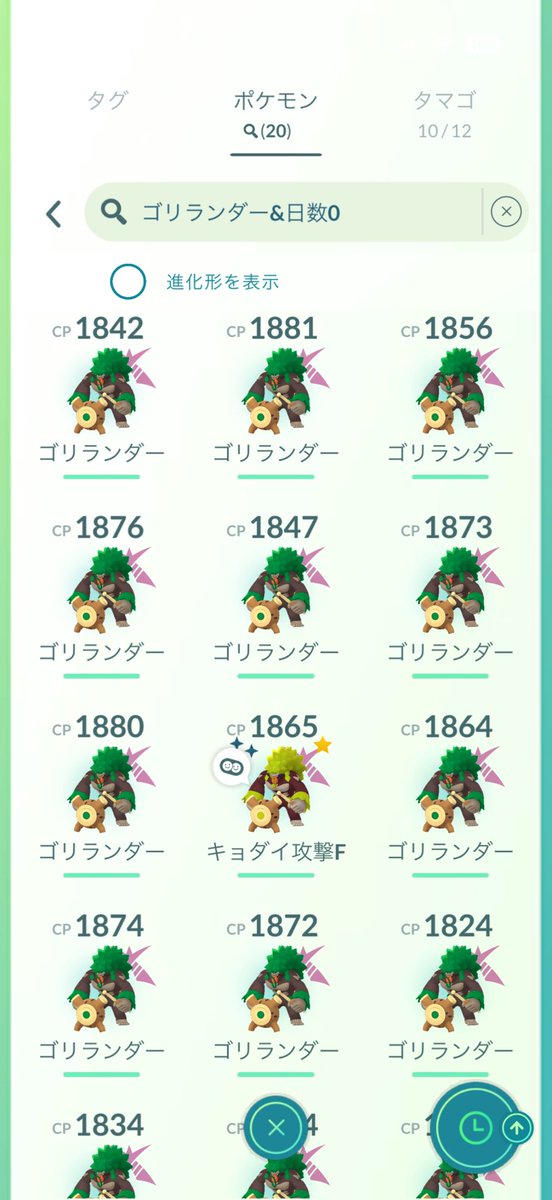 RPAGO469's tweet photo. 🦍色違いキョダイマックスゴリランダー・攻撃MAX🦍✨育成案件✨

アタッカー運用なので実質💯👍笑

色率は1/21🙁(確率通り🤔)
交換用も欲しかった😇

お疲れ様でした🙇‍♂️

#ポケモンGO
#キョダイマックス
#レイドデイ
#ゴリランダー https://t.co/wZqGtX3Zjx