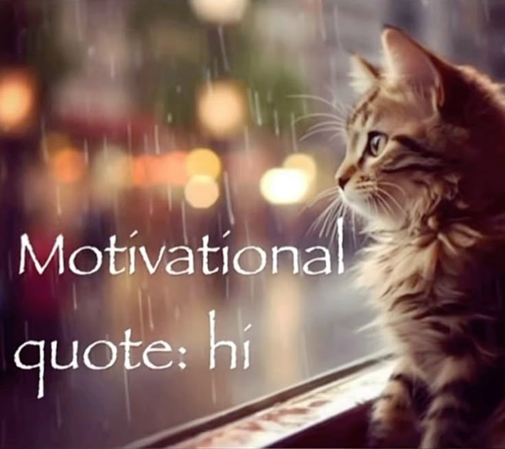 CatPosted's tweet photo. https://t.co/5CPYAfYbeK