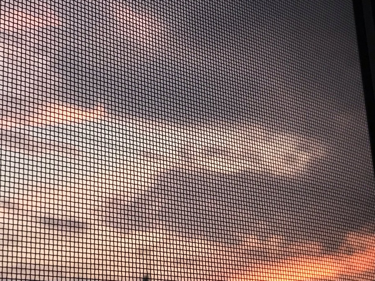XY59229883's tweet photo. #私のこと好きな人リプかいいね 
どうでもいいかもだけど夕焼けが綺麗だった https://t.co/PW9FXFX5xk