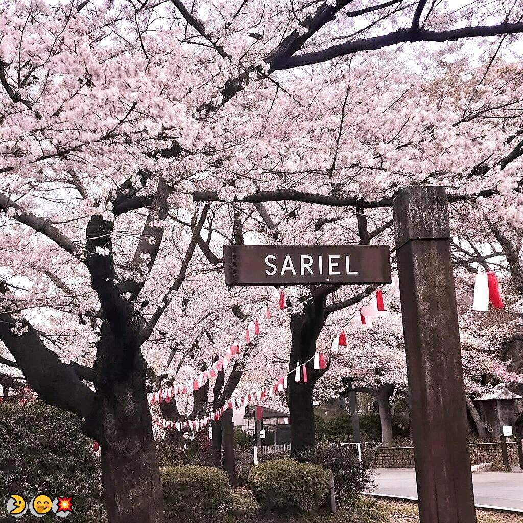 YeddaWoolf47862's tweet photo. 🍀卡泡💖原味🥳双女😃双飞👍反差婊👏发情💯口交🔥叫爸爸✨喷水🎉固聊💫大奶❤️夹子音🤩女M💪女仆✨女大学生🌈女王❤️女菩萨😁妈妈🥳娇喘💪婊子

企鹅裙：1818089
飞机：zuoyi1v1
裸聊/连麦/文爱/调教/寸止 https://t.co/xqEsYoaDnt