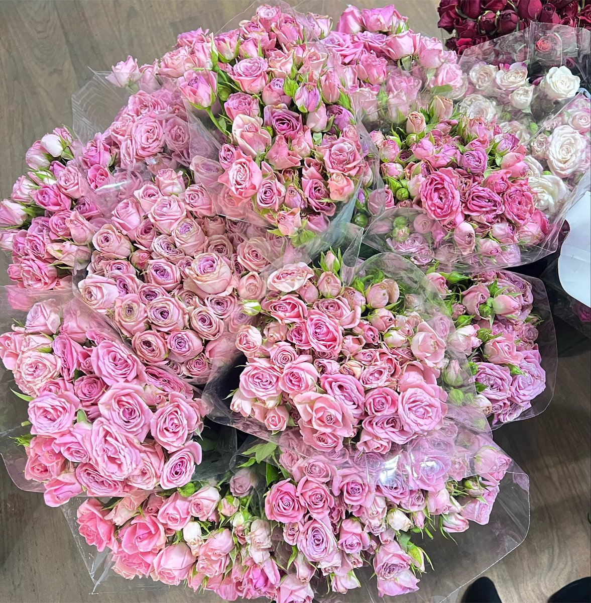 gyf_u6's tweet photo. انا في المكان المفضل لدي.. https://t.co/m5giCSHoIW