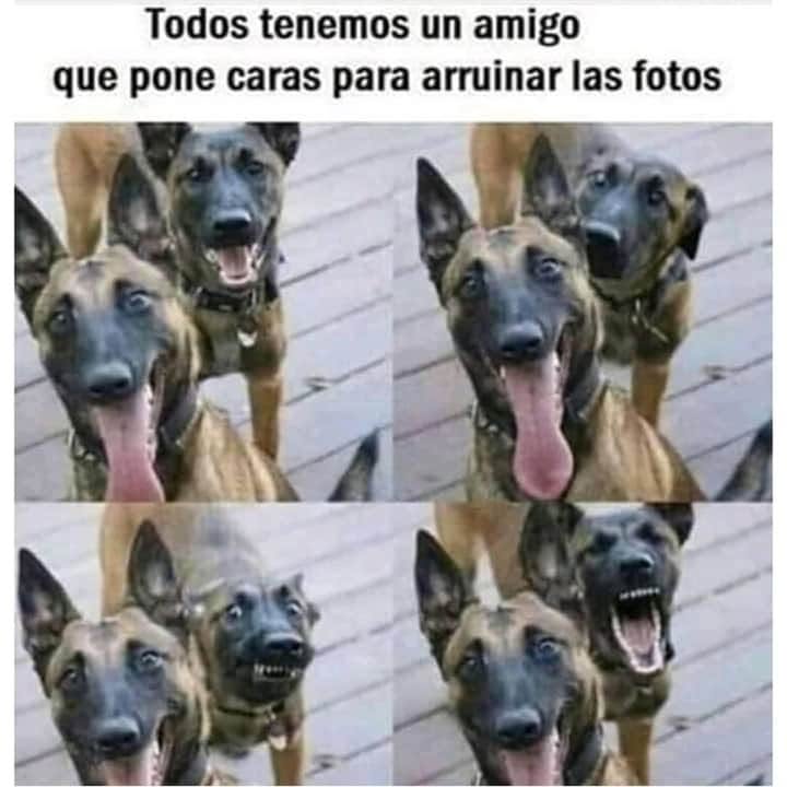 sanketon2's tweet photo. Es así https://t.co/CQPcfXptbI