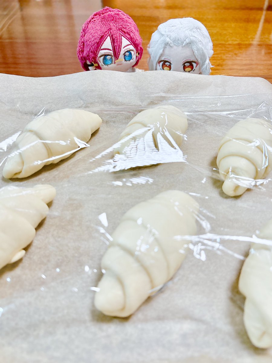 ngsanta4edn's tweet photo. 二次発酵見守り隊 https://t.co/cQPQJ4Bz5d