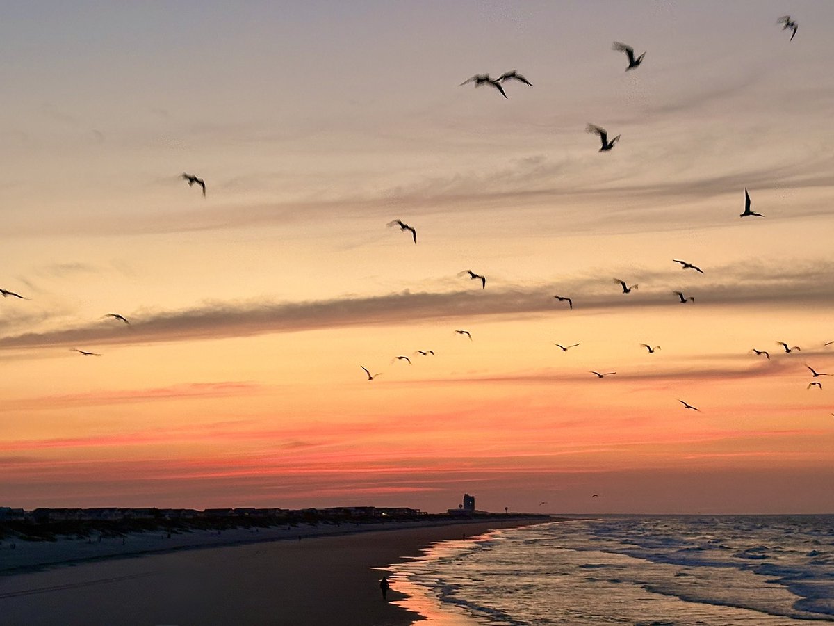 MMoore_hoops's tweet photo. Hello August #SunsetBeach @EdPiotrowski @medwick @DylanHudlerWXII @jamiearnoldWMBF @LeeHaywoodWX @dogwoodblooms @marioncaldwx @JustinMcKeeWx @StarboardRail @RunnerBliss @CMorganWX @Christina4casts @AndrewWMBF @ScottyPowellWX @jgreenhillwx @TimBuckleyWX @clairefrywx @matt_wx https://t.co/uFinksX12o