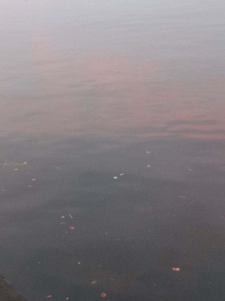 GdRR2525's tweet photo. 空と海 https://t.co/D1vrQ6gwOC