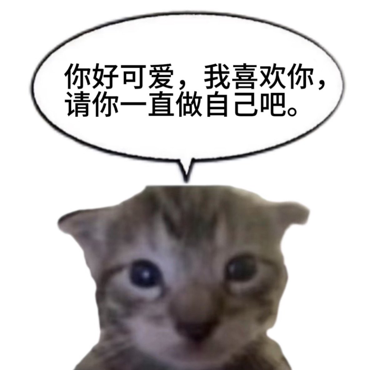 linlin223377's tweet photo. https://t.co/ukBblVjJci