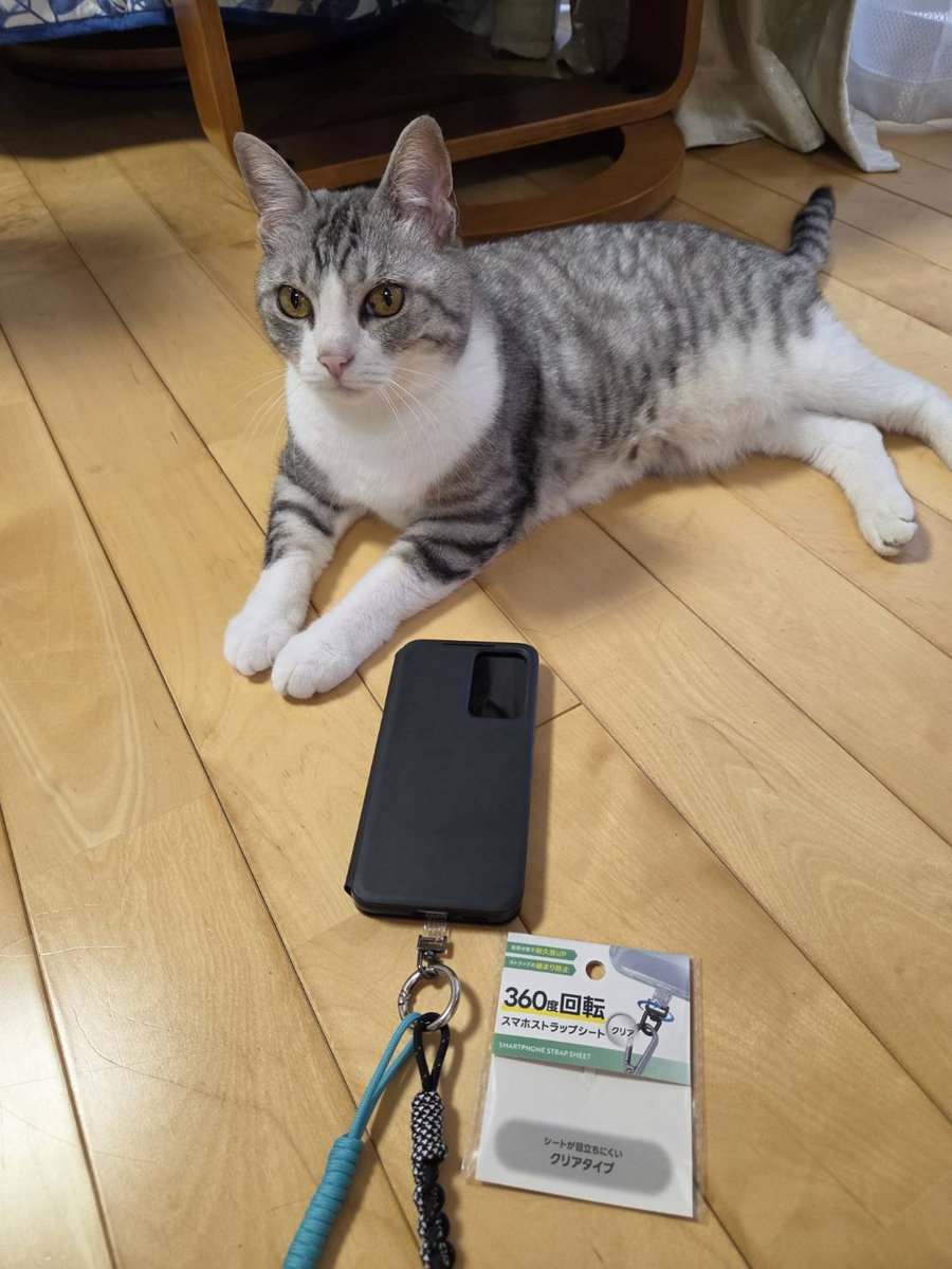 tales_jade's tweet photo. スマホケースに挟むタイプのホルダーの存在を教わったのですが。ちぎれやすいという情報もあり、回転金具を挟んだタイプをセリア(100均)で見つけたので差し換えてみました。これでねじり放題です👍 https://t.co/ZaitSjE8oN