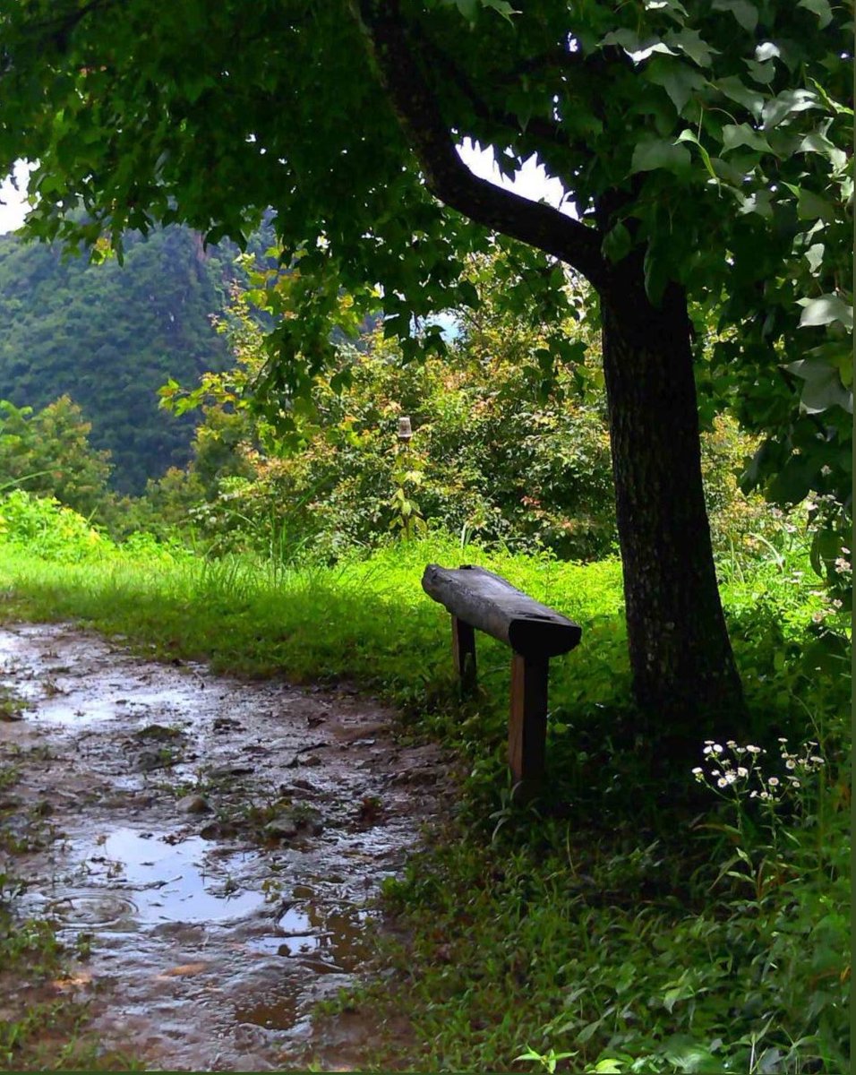 peemmr3's tweet photo. ⛰️🌧️ https://t.co/fUpuv3NpdJ