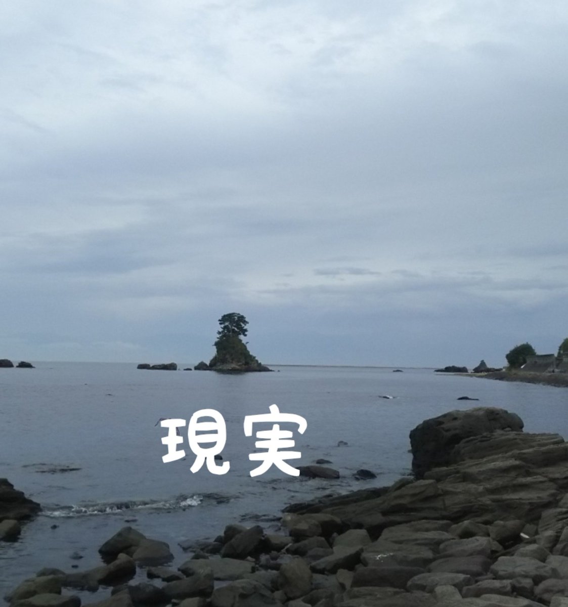 dayofgray's tweet photo. @ZtuyaPnnjq9l0TA 同じだからw https://t.co/UeaQli8EYX