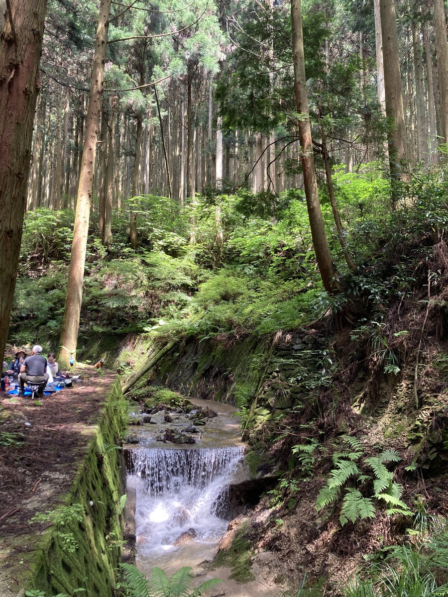 climbamountain8's tweet photo. 山の中は本当に涼しくて、お家でエアコンをつけているよりも涼しいくらいで、少し肌寒く感じるほどでした🍃

空気も本当にきれいで、山に入った瞬間、鼻の中まで浄化されたような気分になりました😊🌳 https://t.co/eLH0UCXGS7