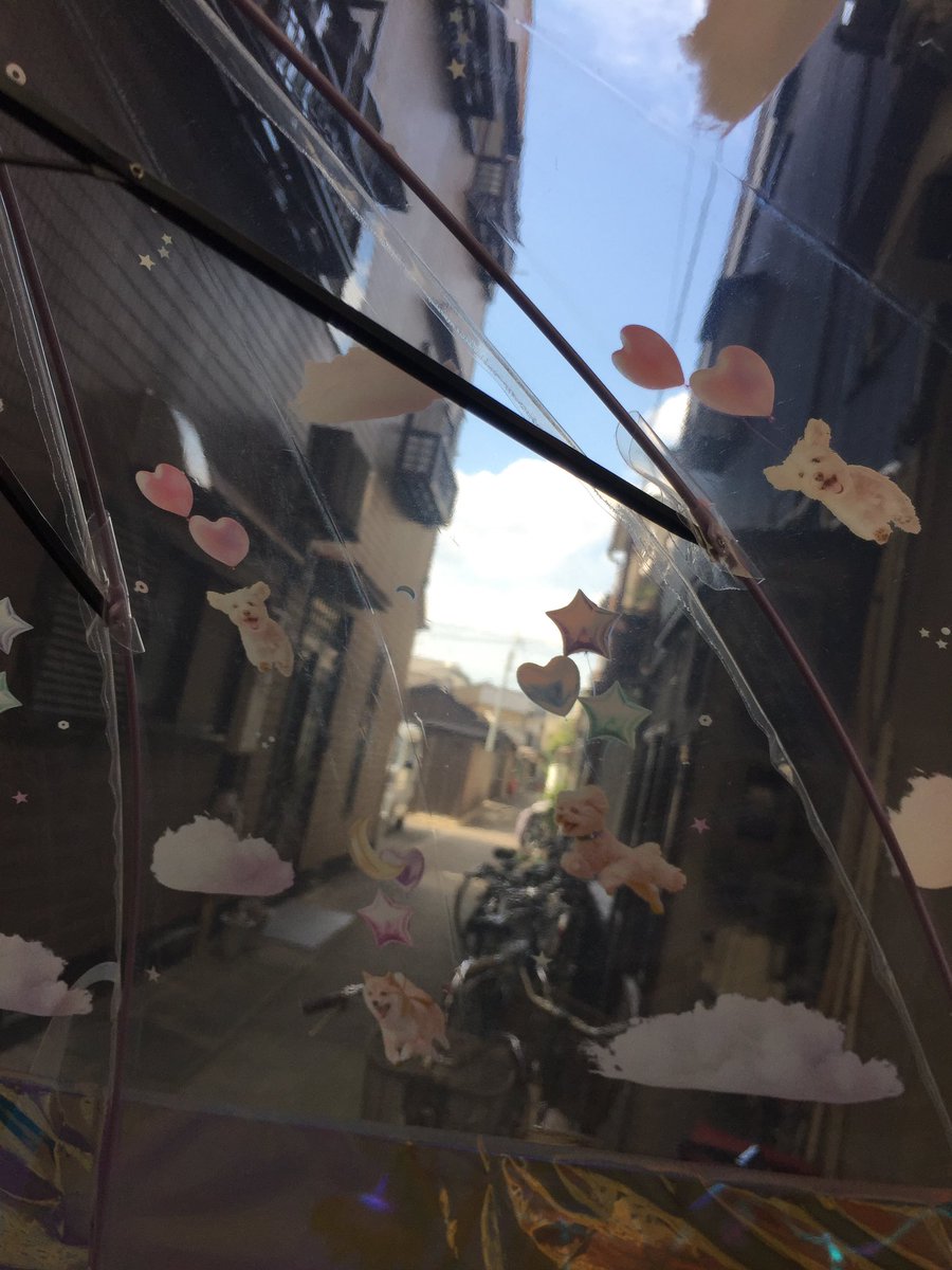 Youme_meen's tweet photo. 京都で買ったヤバい傘見て https://t.co/KiXrmTzygT