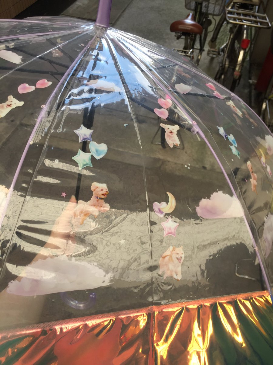 Youme_meen's tweet photo. 京都で買ったヤバい傘見て https://t.co/KiXrmTzygT