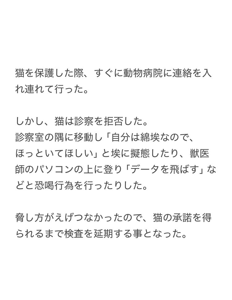 yalalalalalala's tweet photo. 【猫が病院の診察後に様子がおかしくなった原因】 https://t.co/cJ1u72ZTGm