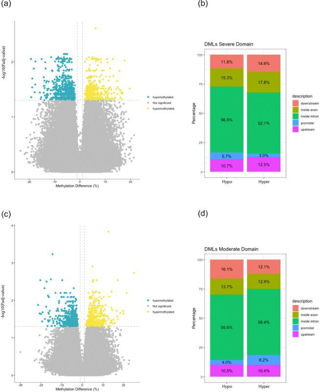 ExpPhysiol's tweet photo. C. D. Goldsmith et al. (Western Sydney University, Murdoch University, University of Canberra, @latrobe) examine acute capillary blood DNA methylation responses to swimming exercise in high-performance male and female swimmers
📖 https://t.co/5AjVi3FjhH https://t.co/yOTYZ7DRYr