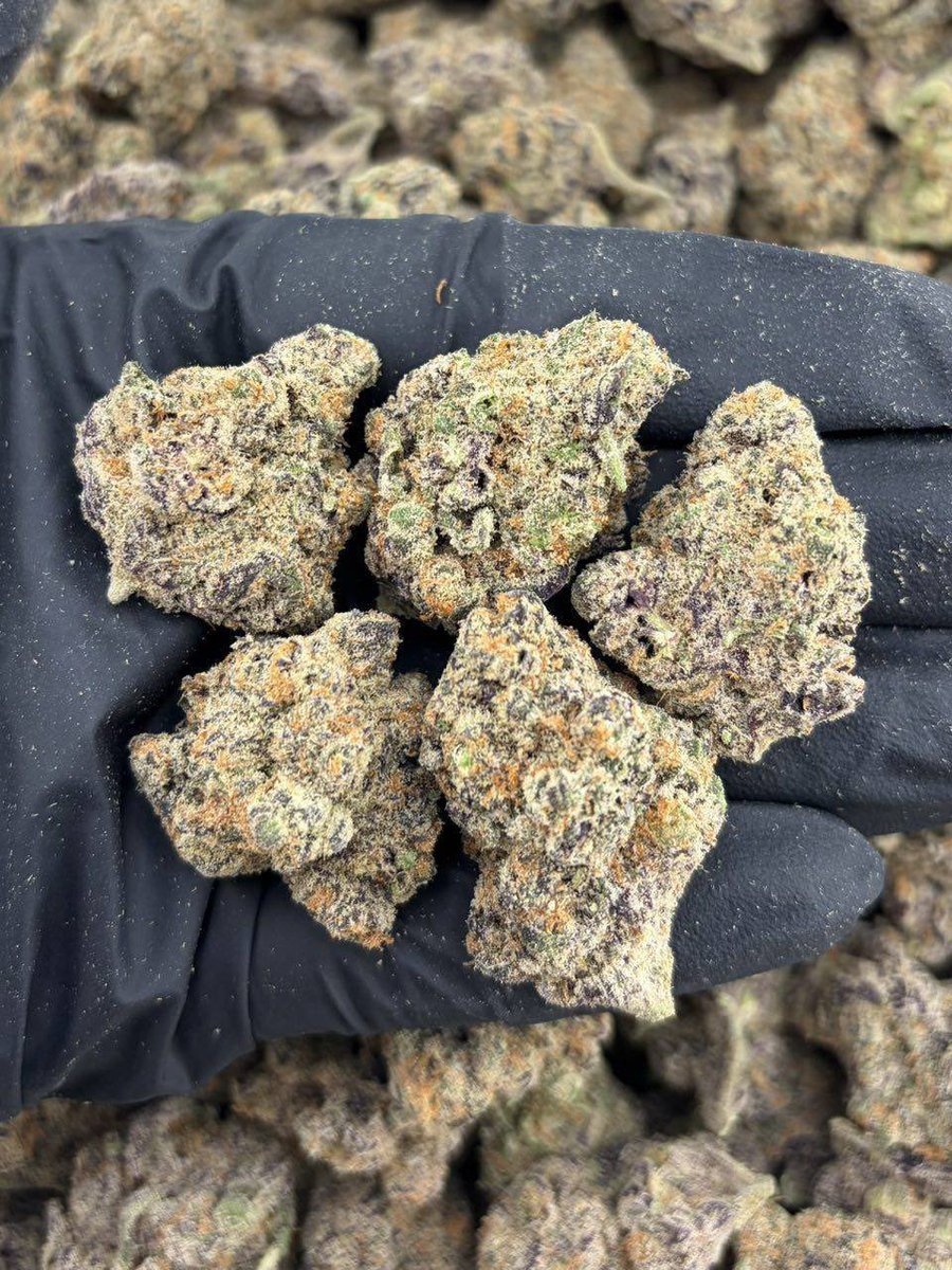 ster6_'s tweet photo. Active and serving Uk weed London weed 
Edinburgh weed Manchester weed Liverpool weed Birmingham weed Glasgow
Weed Bath weed York weed Oxford weed Cambridge weed Bristol weed Cardiff weed Belfast weed Canterbury weed Brighton weed Windsor weed Chester weed Stratford-upon-Avon https://t.co/lAdWGaGqTk