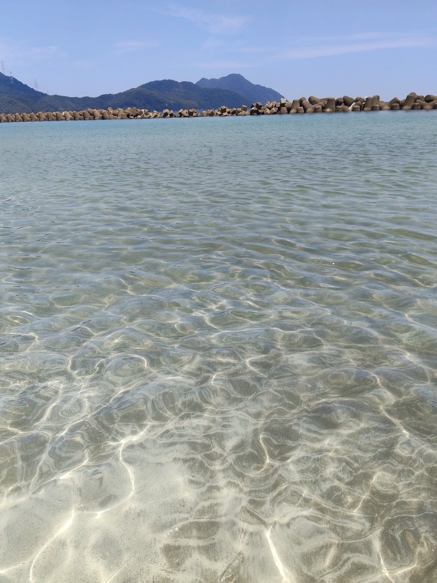 Futaba0525kn's tweet photo. 海きれいし！！
ヤドカリ大量！3枚目、全部生きてるヤドカリ。この後さらに10匹ほど増える。
福井はのどかでほんまにいい場所🩵🧡 https://t.co/e3RbIzRy75