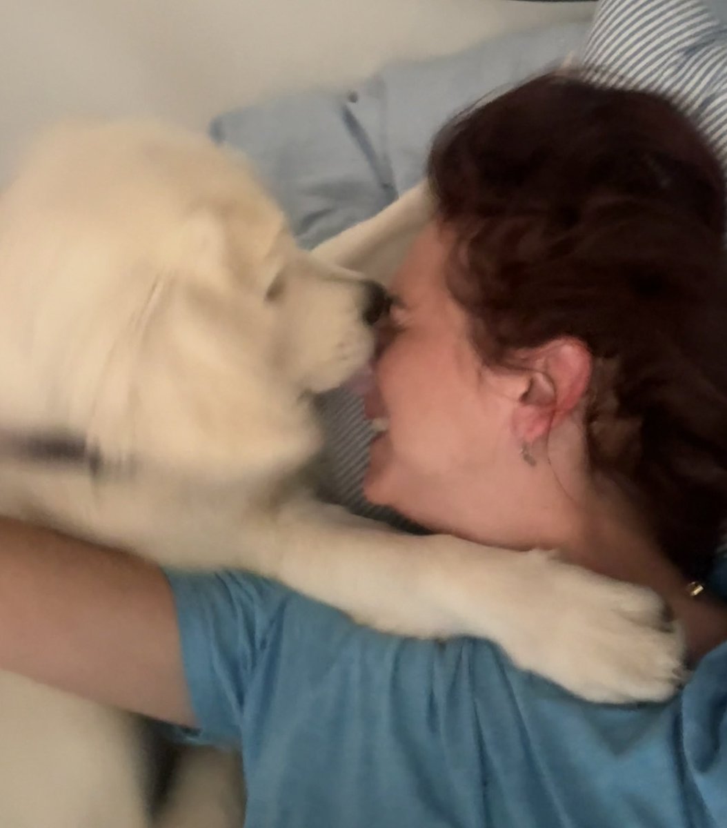 MorysovaPavla's tweet photo. Matko neser a vstávej, už je čas.
I taková mohou být sobotní rána.🥳
#Anka
#Anča
#Andula jedna… https://t.co/iDnNF0VWRw