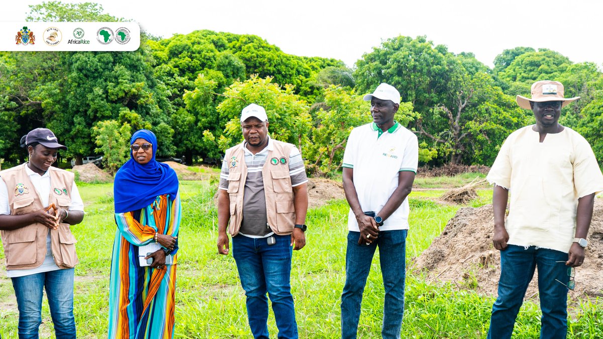 RewardGambia's tweet photo. 𝐃𝐀𝐘 𝟒: 𝐌𝐚𝐧𝐝𝐚𝐭𝐨𝐫𝐲 𝐒𝐢𝐭𝐞 𝐕𝐢𝐬𝐢𝐭𝐬
Prospective bidders continued mandatory site visits across Lot 5 in the North Bank &amp; Lower River Regions, inspecting proposed rainfed &amp; climate smart irrigation schemes to assess site conditions &amp; prepare technically sound bids. https://t.co/HD0prhVhLD