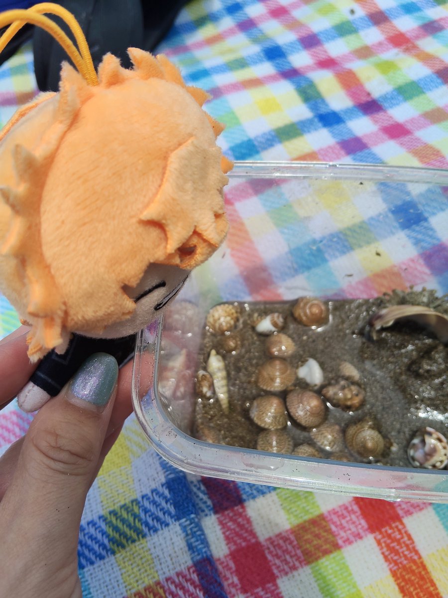 Futaba0525kn's tweet photo. 海きれいし！！
ヤドカリ大量！3枚目、全部生きてるヤドカリ。この後さらに10匹ほど増える。
福井はのどかでほんまにいい場所🩵🧡 https://t.co/e3RbIzRy75