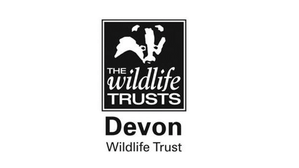 JCPinDevon's tweet photo. Devon Beaver Field Officer - Tamar and West (Full Time - FTC) with Devon Wildlife Trust in Exeter.
Salary: £28,620 Per Annum.
Info/apply: https://t.co/JbFtcallcB
#DevonJobs #ConservationJobs https://t.co/ngccs6UXYQ