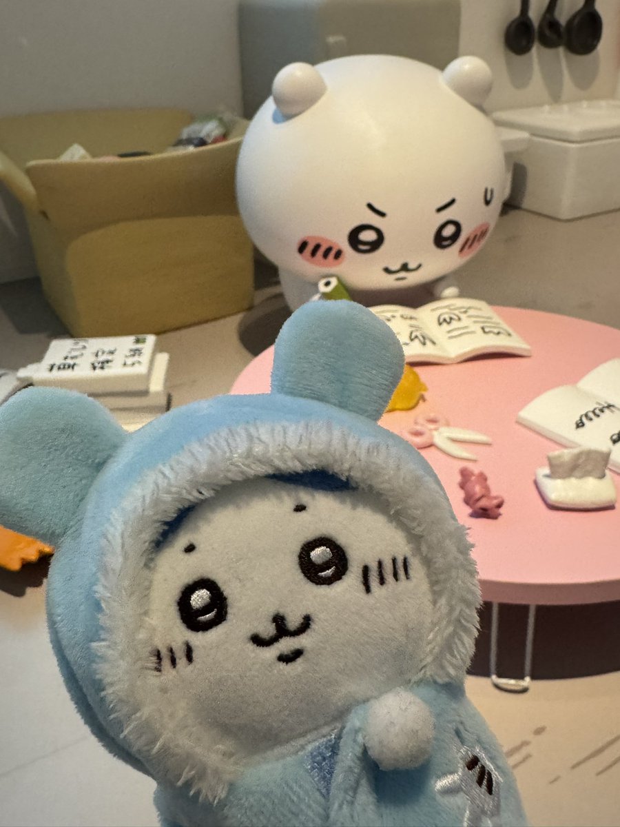 しぇいこん (@jyugonwife) / Posts / X