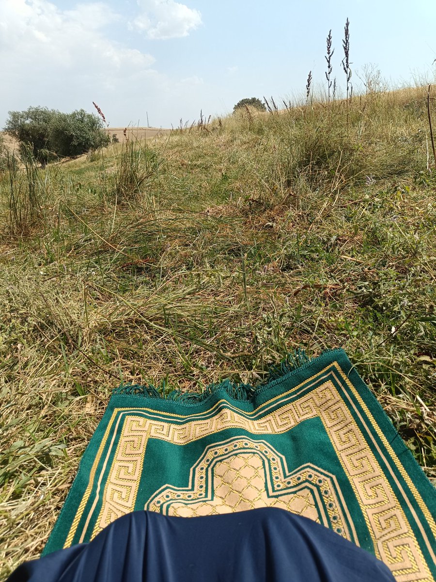 Ruveyda_124_'s tweet photo. Câbir b. Abdullah"tan nakledildiğine göre,
Resûlullah (sav) şöyle buyurmuştur:
“Yeryüzü (toprak) benim için mescit ve temiz kılınmıştır. Ümmetimden kim nerede namaz vaktine ulaşırsa hemen orada namazını kılabilir." https://t.co/2ZIC9WAFwZ