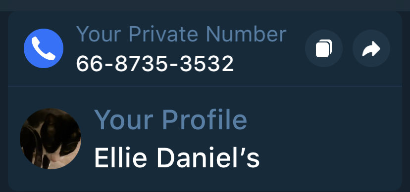 Elliedaniels99's tweet photo. This is my Zangi number ee can chat up there more better https://t.co/HHfi1DYds8