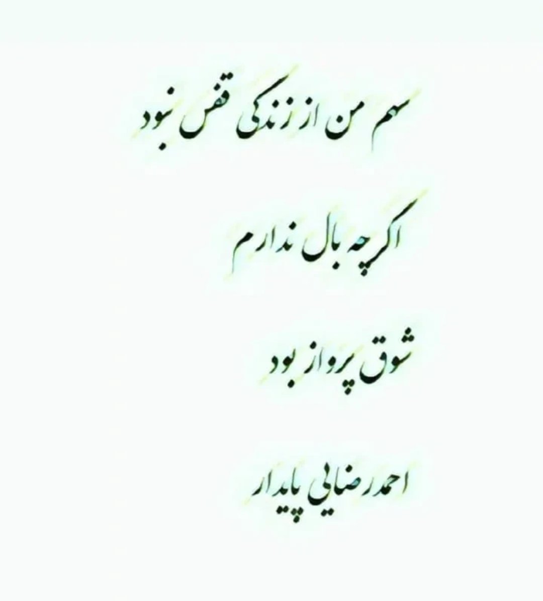 rezayipaydar's tweet photo. #پرواز #پایدار https://t.co/X1rx98Pl0A
