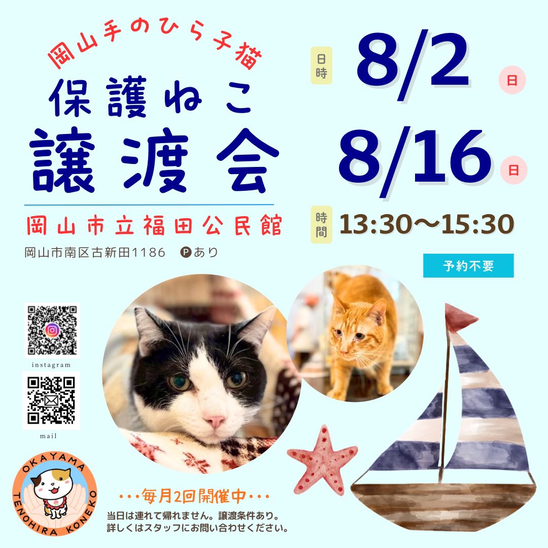 nekostm's tweet photo. 明日の譲渡会に参加します🌟
と〜っても人懐っこい月夜くんに会いに来てくれると嬉しいです☺️
…譲渡会では微動だにしないのが困るのですが😅

8/2  岡山市福田公民館
13:30〜15:30 🅿️あり
予約不要

#里親募集中
#保護猫譲渡会 https://t.co/le0eoiE6aR