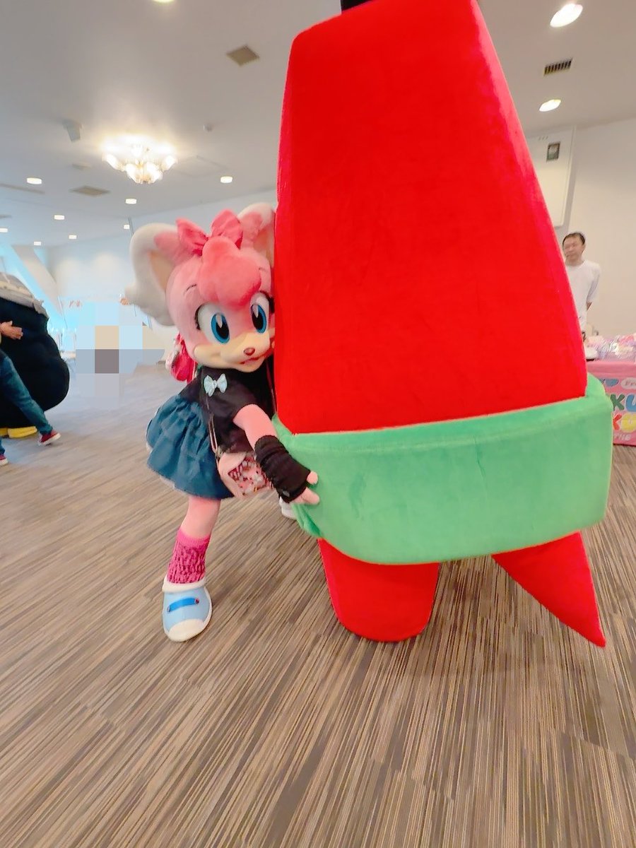 norichin19's tweet photo. やっぱりテレビ父さんって優しいのに強くてー🗼
相撲を挑んだエイルちゃむはふっとんじゃった🥹

#もみじちゃんお誕生日会2026 
#エイル・ルネット https://t.co/k8ByLbuyp2