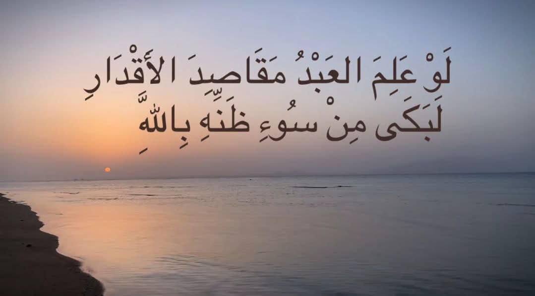 AmiiraAyman's tweet photo. https://t.co/bY42IuUnqo
