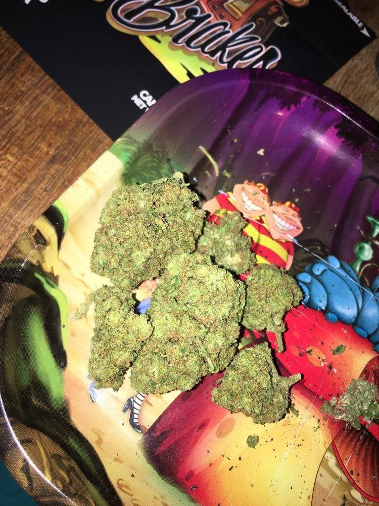 ster6_'s tweet photo. PREMIUM INDOOR ZAZA EXOTIC WEED 
WEED PLUG KUSH FLOWER ZAZA Weed 
man IN Los Angeles London uk Manchester 
Dublin Berlin Paris Rome Barcelona 
Amsterdam Prague St. Petersburg Moscow Weed plug https://t.co/90hhrxpc50