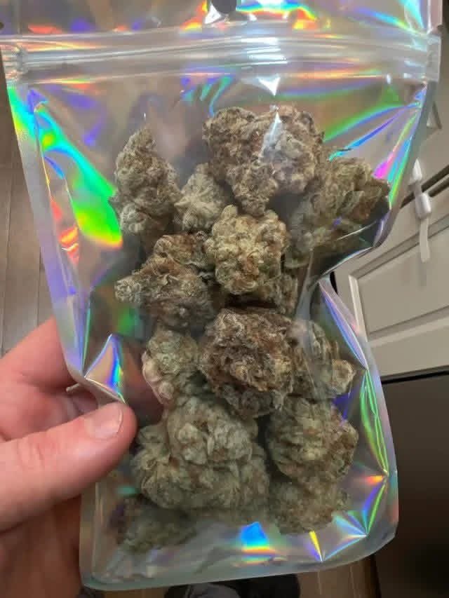 ster6_'s tweet photo. weed London mdma  Manchester weed Birmingham coke Glasgow LSD Plymouth Southampton Liverpool weed Newcastle  dmt Nottingham Sheffield cart Bristol weed Belfast Brighton Leicester weed Edinburgh Sheffield Bournemouth mushroom Leeds Cardiff Coventry weed Middlesbrough Thc vapes https://t.co/IsWmvz16yA