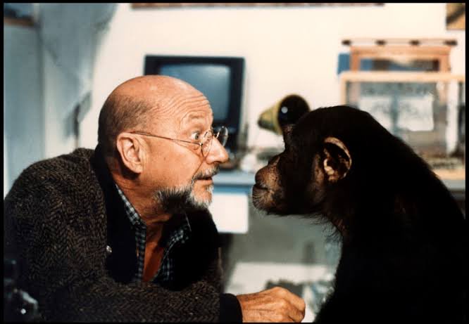 SamuelJLoomis's tweet photo. That’s right Mr. Jangles. I shot him six times and then he just got up and walked away. You must help me find him Mr. Jangles, before he returns and kills again. https://t.co/GlUWcOJoga