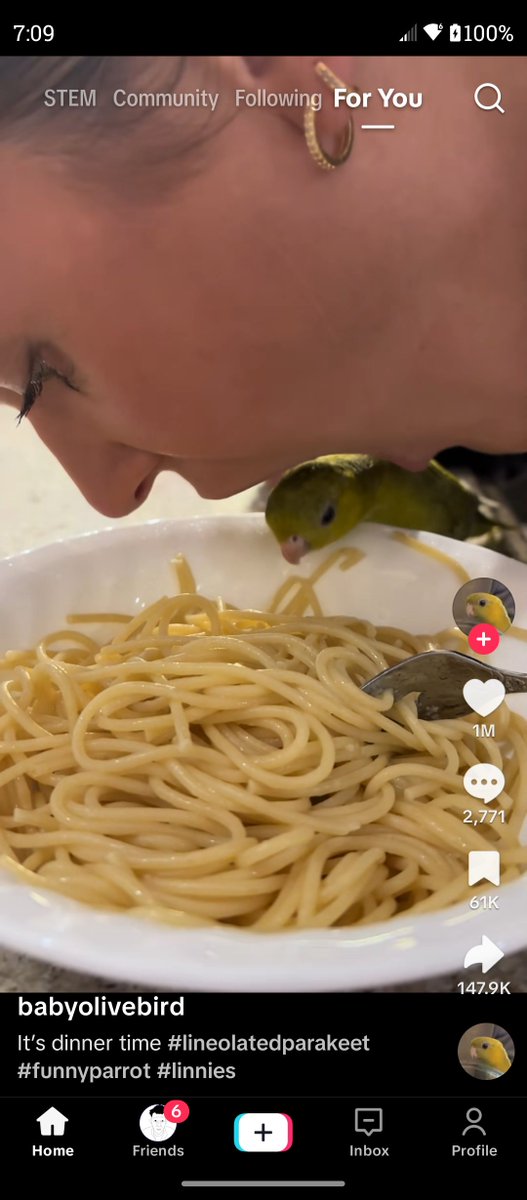 sargeLAW_'s tweet photo. Can someone redraw this as a parrot and saps https://t.co/YVDGasAE7v