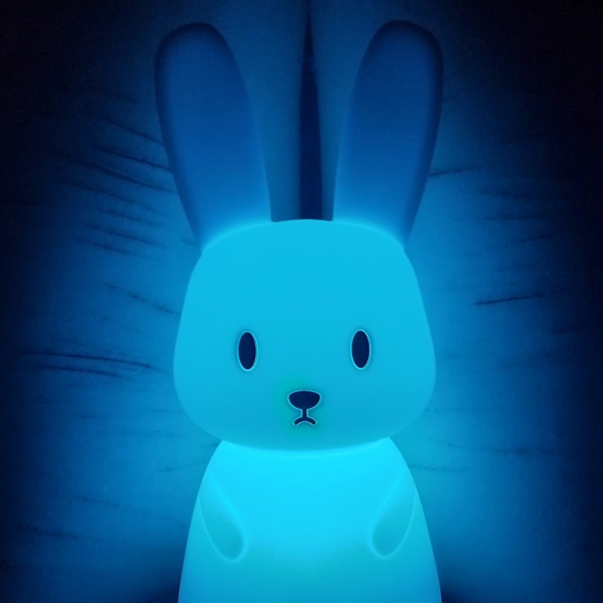 plumpupi's tweet photo. conejito 🐰 https://t.co/nu6vZagE8v