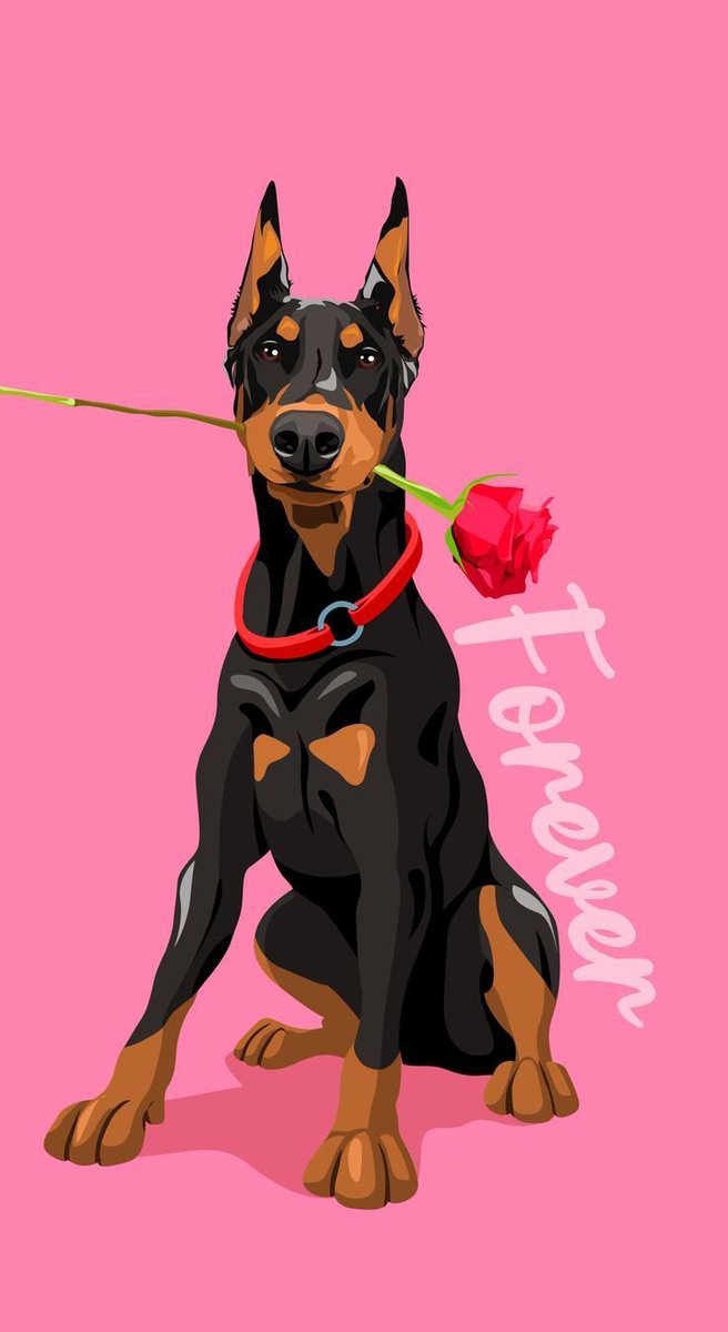 Jessypawhub050's tweet photo. My favorite hound got me flowers, do i really deserve this love?
#Dogmother #DogRescue #pawloveth6ix #knot
#doggos https://t.co/YivdovYtQ2