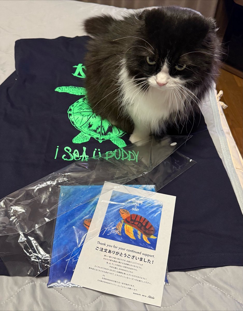 Cq81Hq's tweet photo. ムフフ😏
ちゃっかり購入！
ネイビー、かっこいい😆
写真撮らせてくれないぜ！うちのヌコ😭w
ビニール噛んで『ブチッ！！』って音が好きみたいで毎回めっちゃ噛む🐈‍⬛w
@Daichi0099 
@WAN_DAO_1 
＠alpaca_paul13 https://t.co/KQsbt3vwvj