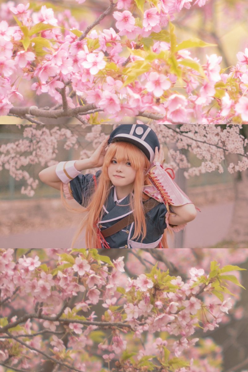 tyi_omo's tweet photo. -レンズ越しの春夏秋冬- https://t.co/yx2KYvbG7z