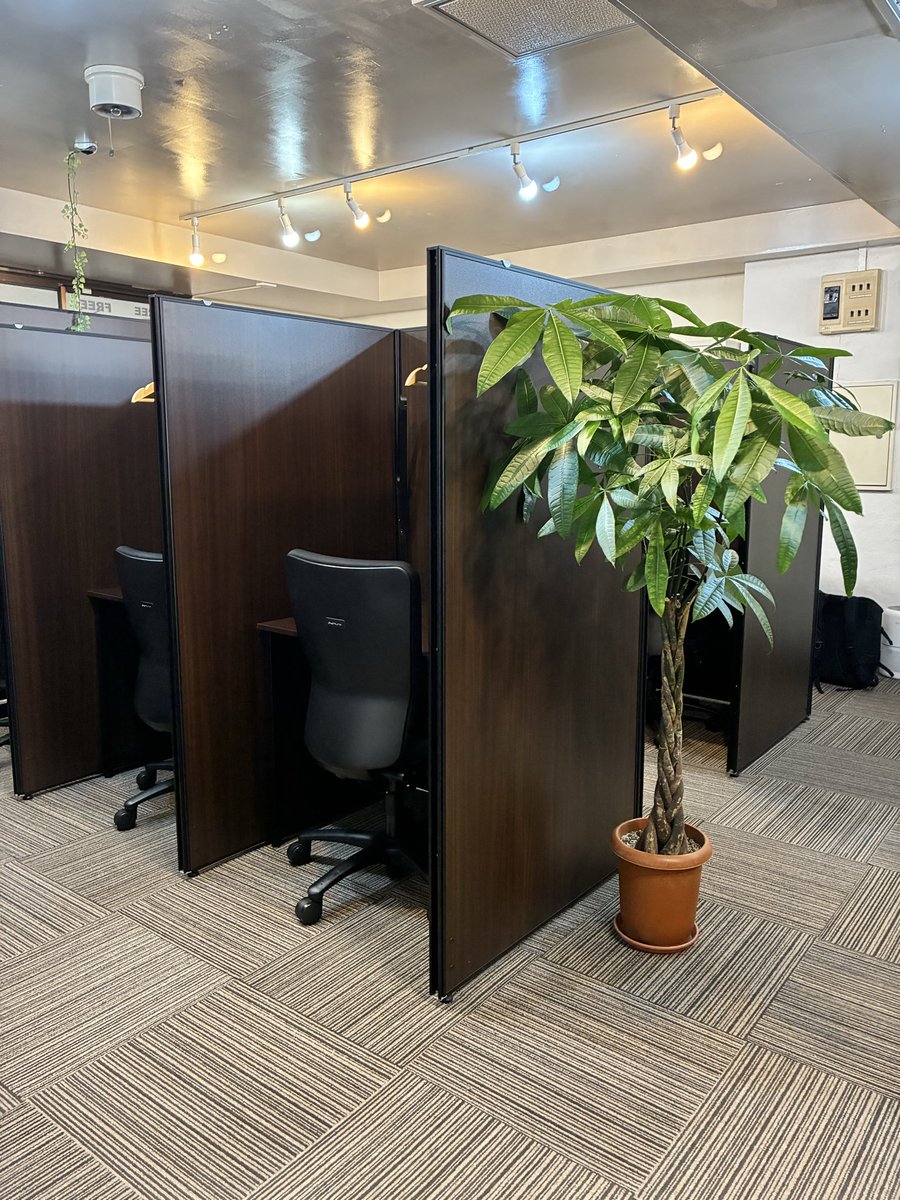 plusworkspace's tweet photo. 『カフェだと周りの会話が気になるし、家だと集中力が続かない…。』
そんな時は、自習室を使ってみませんか？

＋workspaceでは「2時間の無料体験」をご利用いただけます✨
実際に参考書やPCを広げてみて、室内の雰囲気を是非ご体験ください🍀

#自習室 #勉強 #資格 #受験 https://t.co/U1eU2kY3Lo